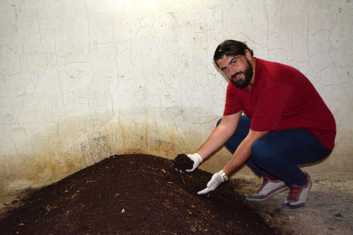 Söke\'de Genç Girişimci Evinin Bodrumunda Solucan Gübresi Üretiyor