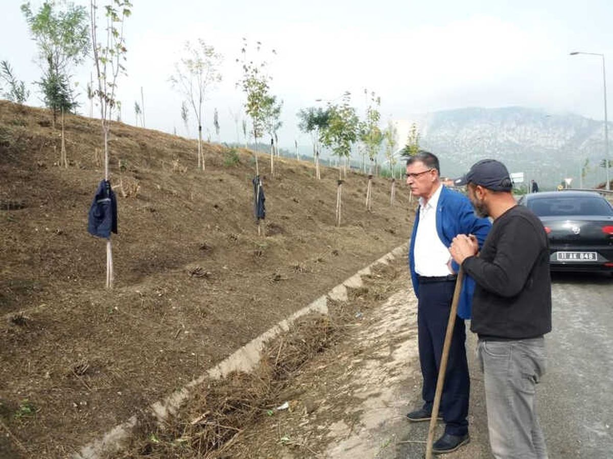 Vezirhan\'da Ağaçlandırma Çalışmaları Devam Ediyor