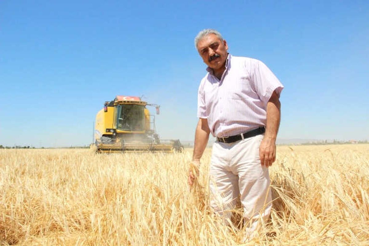 Ziraat Odası Başkanı Muğlu: "Kazanamayan Çiftçi Buğday Ekimini Bırakıyor"