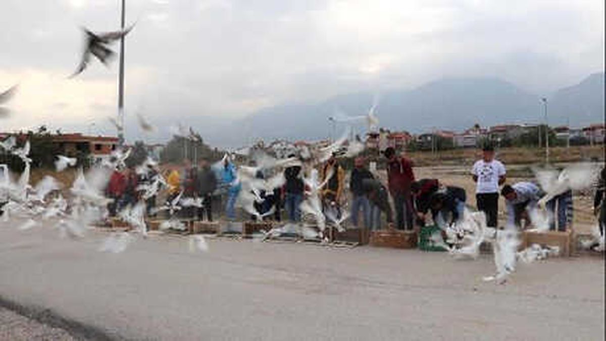 Dostluk İçin 500 Güvercin Uçurdular