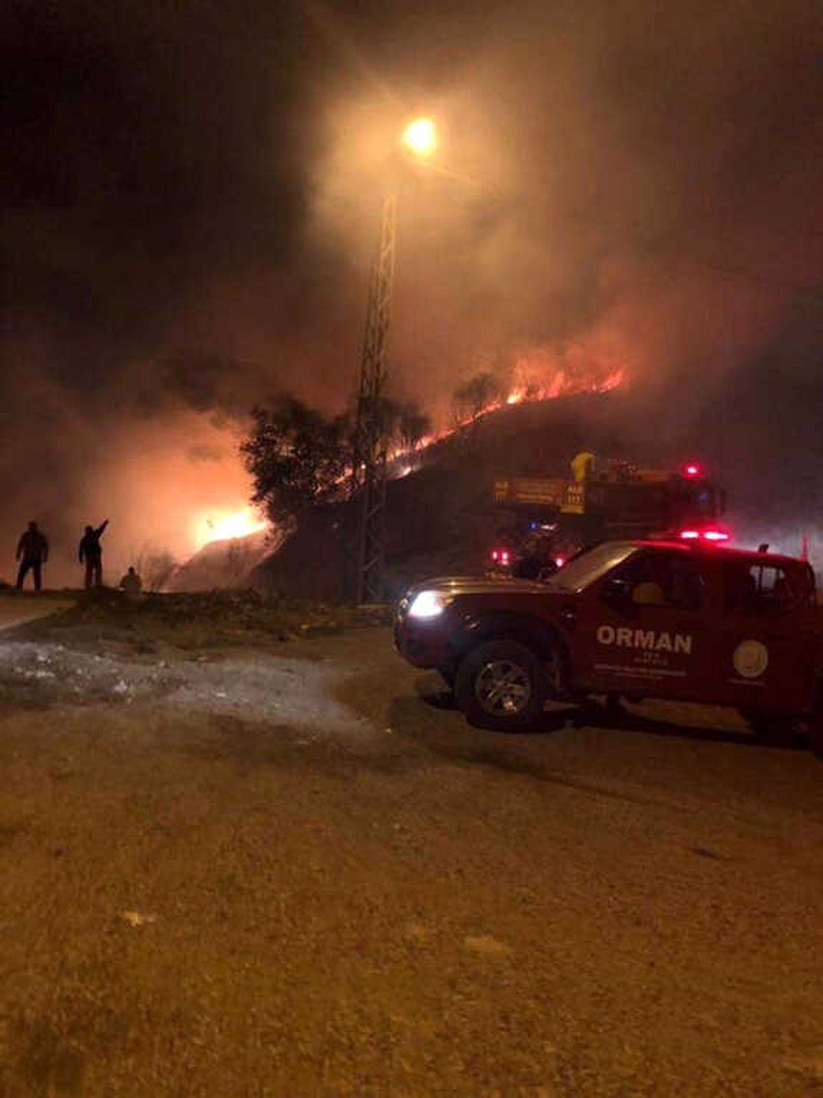 Hatay\'da Orman Yangını : 1 Hektar Alan Zarar Gördü