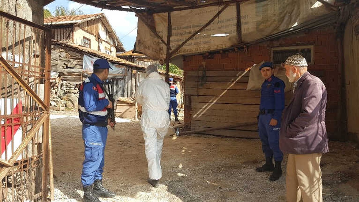 Ağaç Dalını Kesen Yeğene Amcası Kurşun Yağdırdı