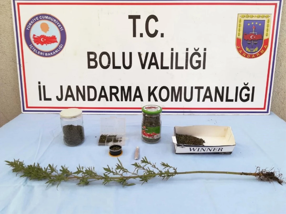 Bolu\'da, Kaçak Sigara ve Uyuşturucu Operasyonu