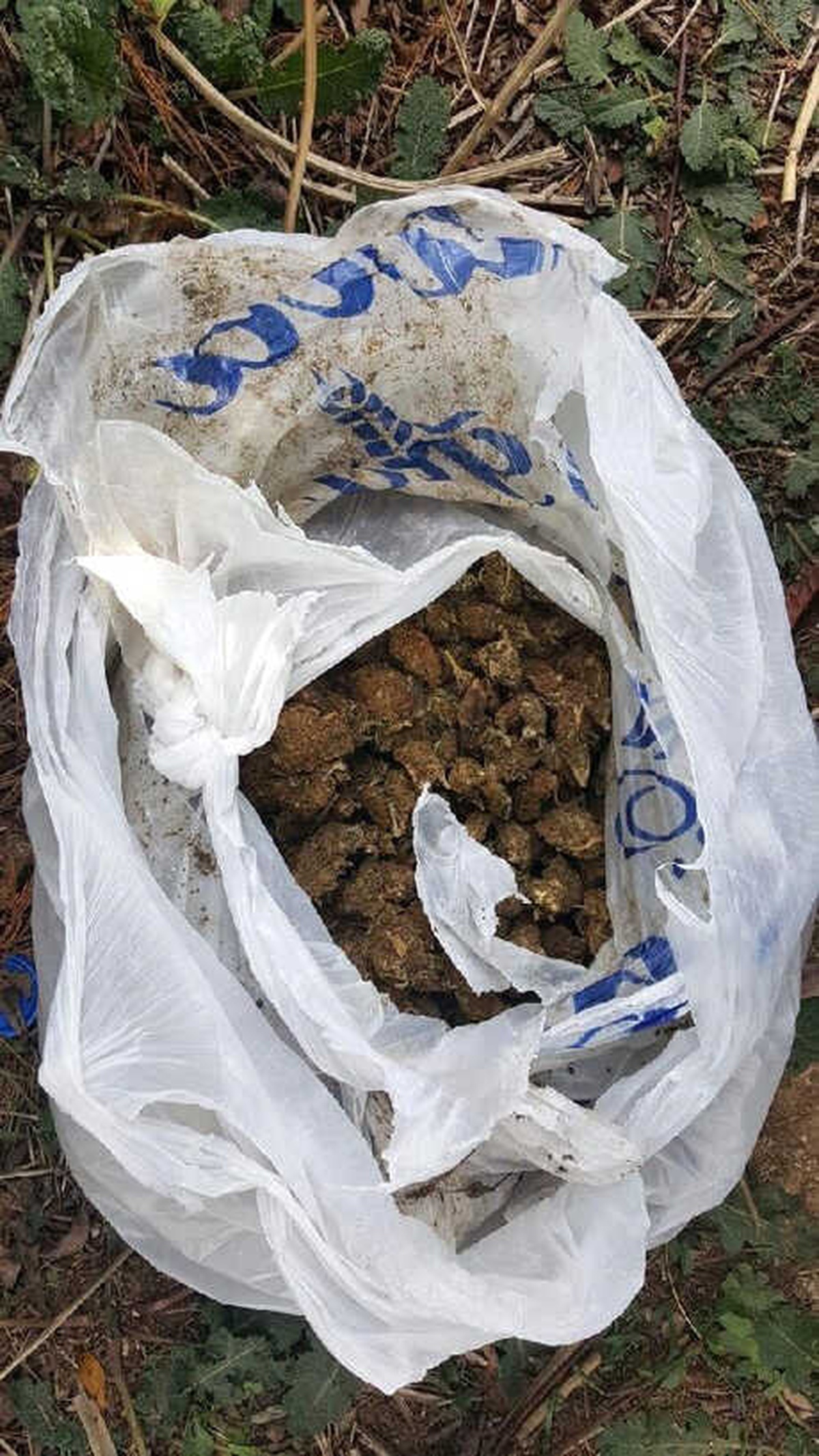 Dur\' İhtarına Uymayan Şüphelinin Otomobilinden Skunk Çıktı