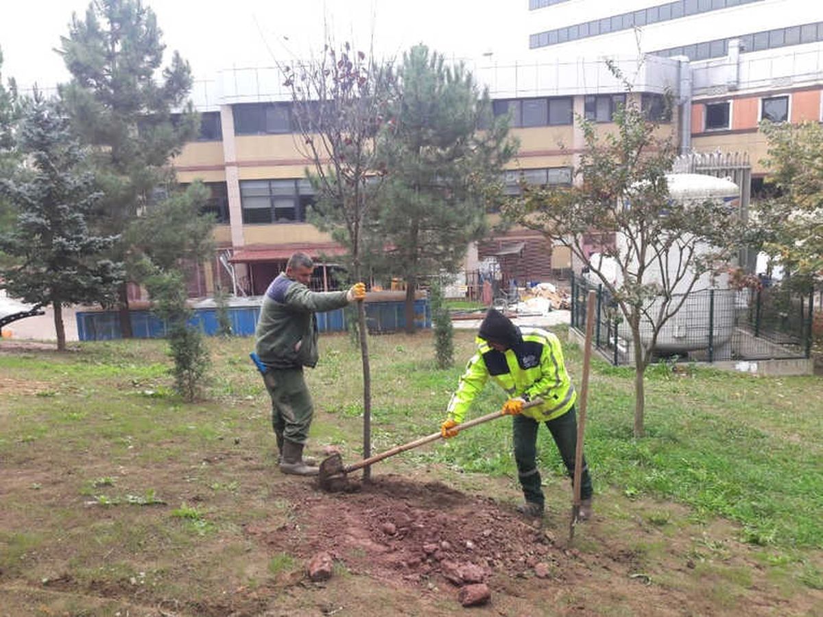 Kocaeli\'de Ağaç Dikim Sezonu İzmit ile Başladı