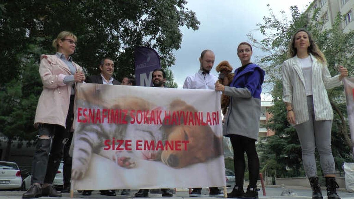 Kozyatağı\'nda Sokak Hayvanları Artık Esnafa Emanet