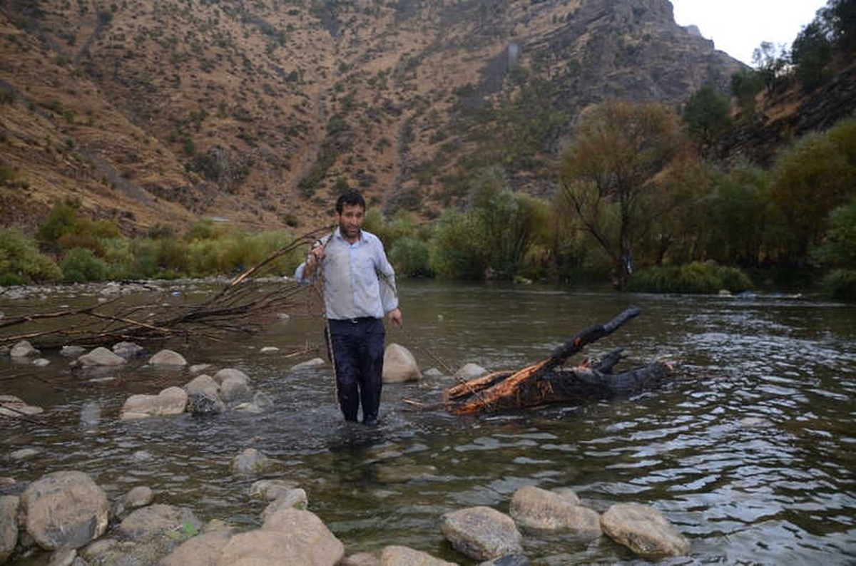 Ormanlara Zarar Vermemek İçin Çay Kenarında Odun Topluyorlar