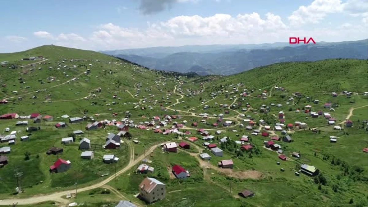 Trabzon Yer Kalmayan Yaylada, Kaçak Yapı Sahibi Herkes \'İmar Barışı\'na Başvurdu