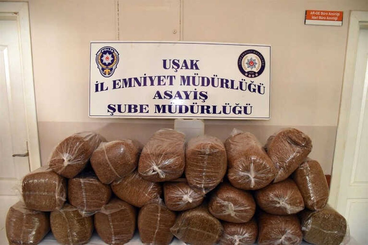 Uşak\'ta Kaçak Tütün Operasyonu