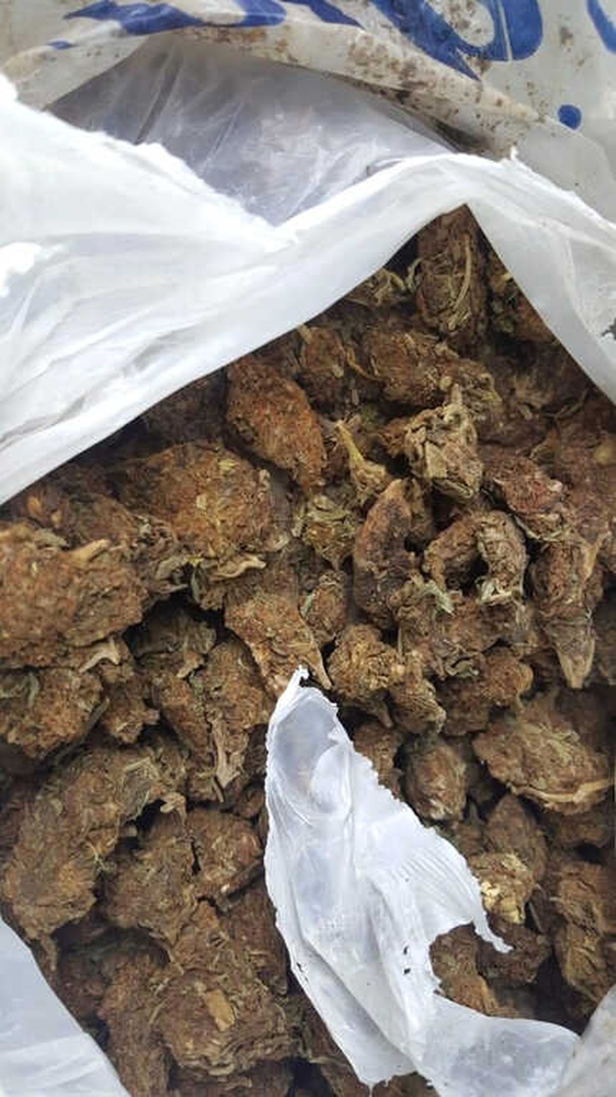 Yalova\'da "Skunk" Operasyonu