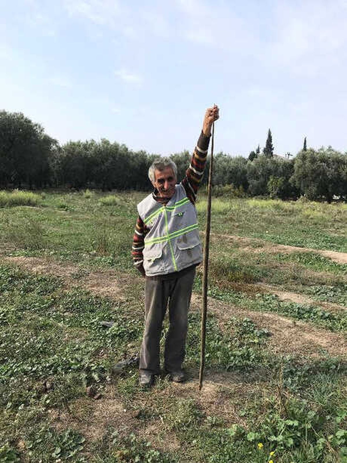 Yaralı Bulunan Yılan Veterinere Götürüldü
