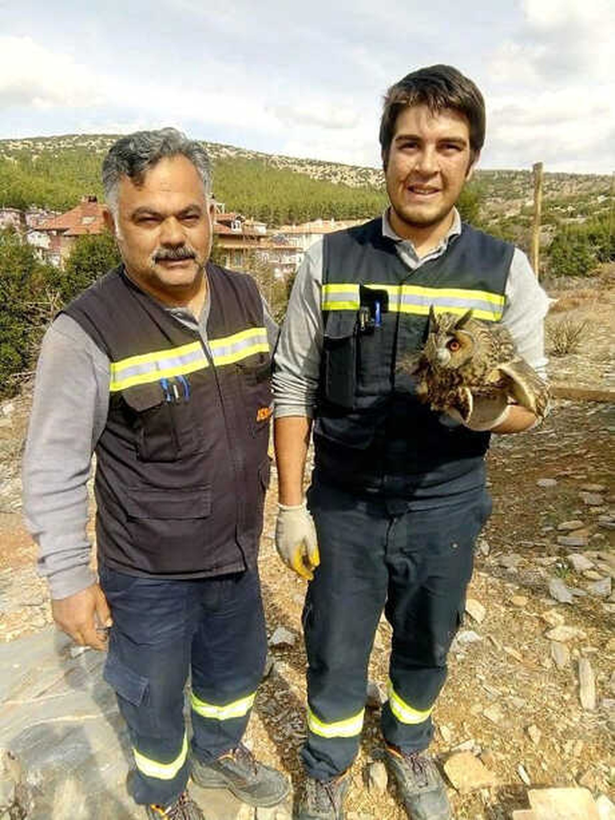 Yüksek Gerilim Hattına Takılan Baykuş Kurtarıldı