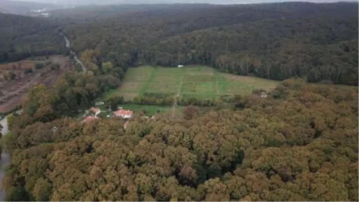 Belgrad Ormanı\'ndan Fotoğraflar