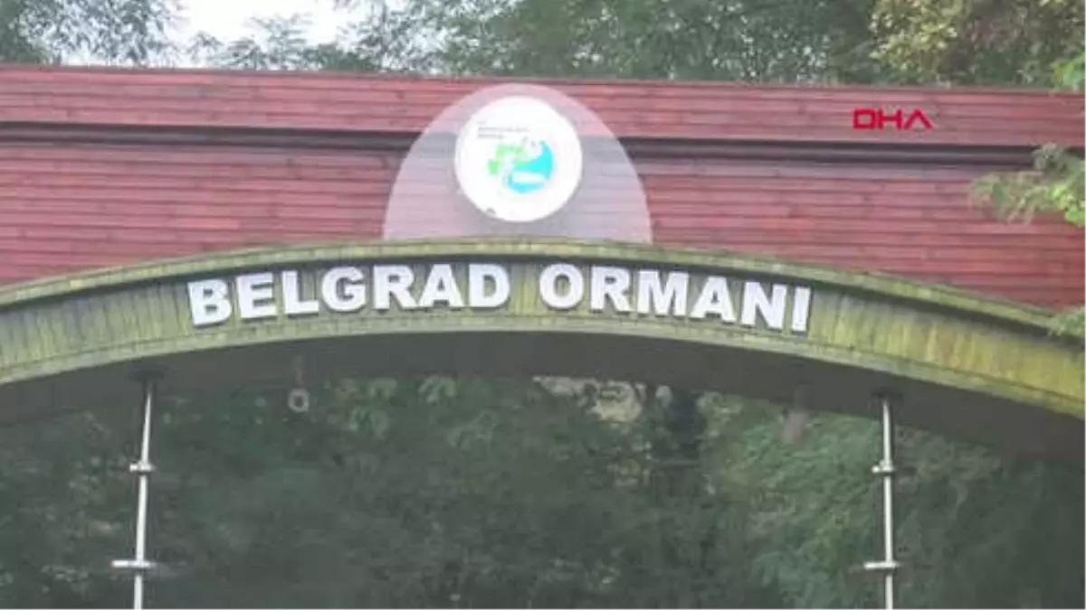 Belgrad Ormanı\'ndan Görüntüler