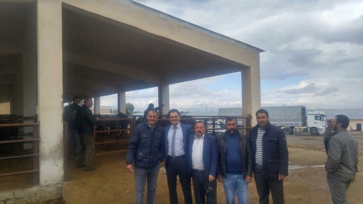 Bulanık\'ta Hayvan Dağıtımı