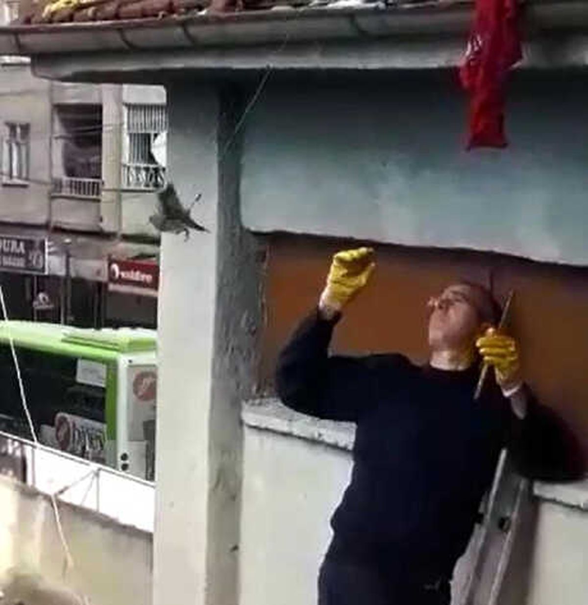 Elektrik Trafosuna Asılı Kalan Kumruyu İtfaiye Kurtardı
