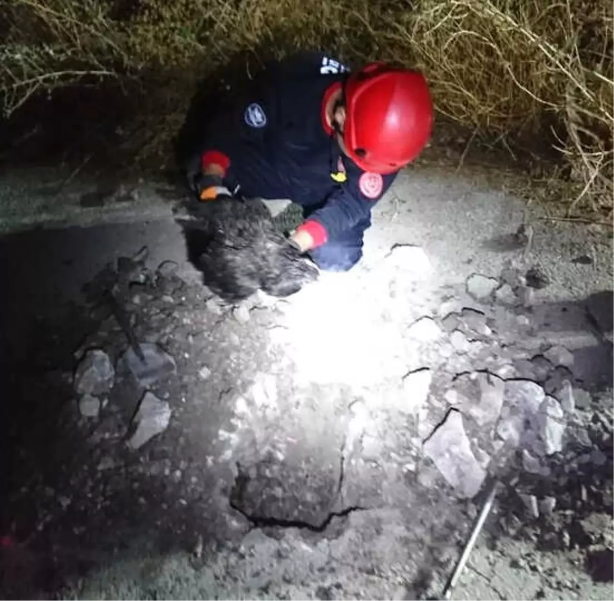 İtfaiye Ekipleri, Asfaltı Kırıp Sıkışan Tavuğa Kurtardı