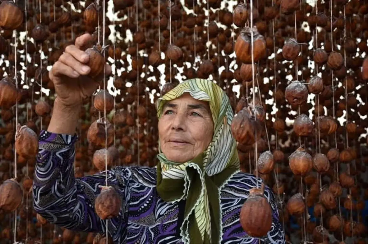 Mafod, Alaşehir\'i Fotoğrafladı