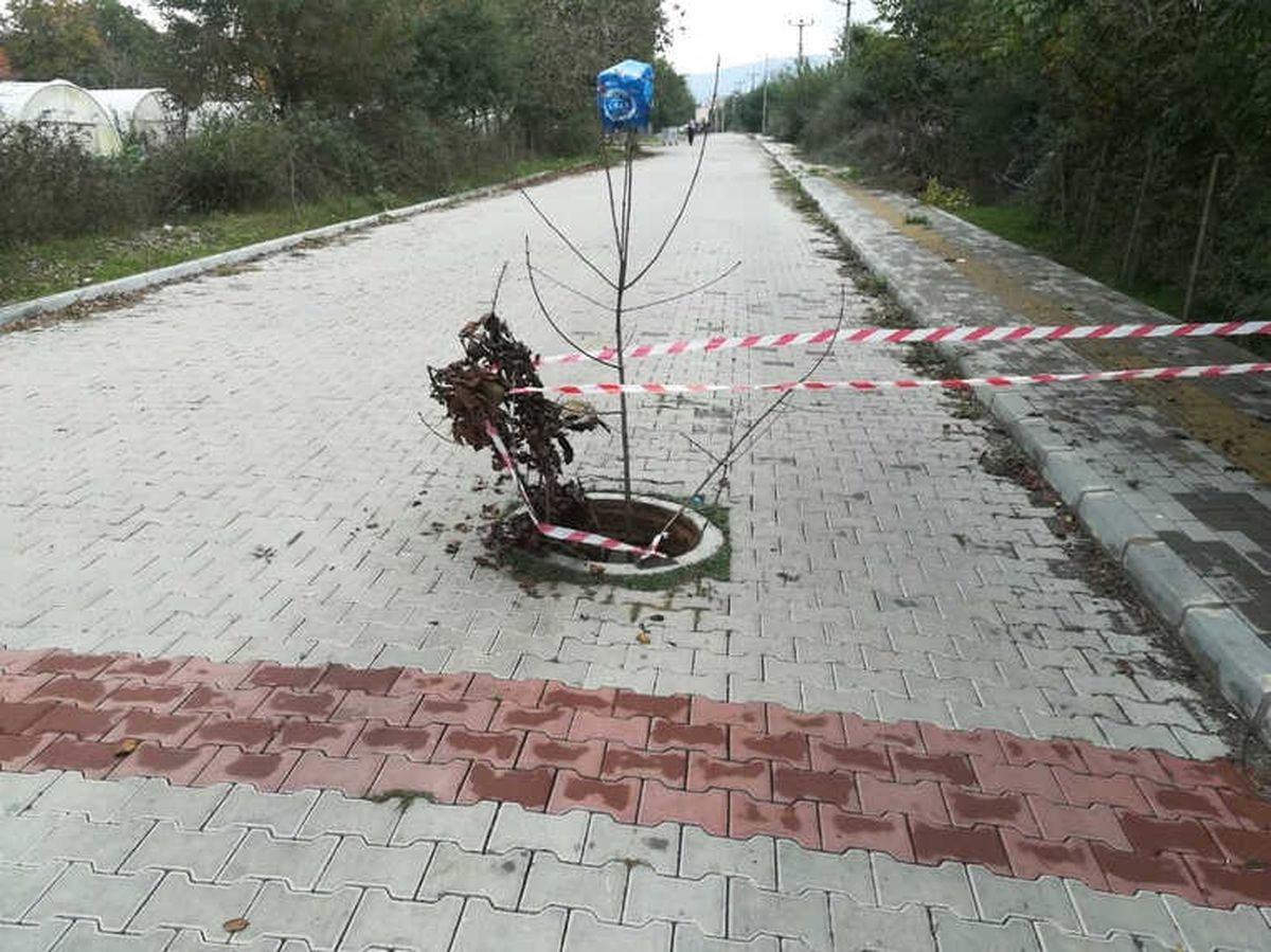 18 Yaşındaki Hırsız Yakalandı