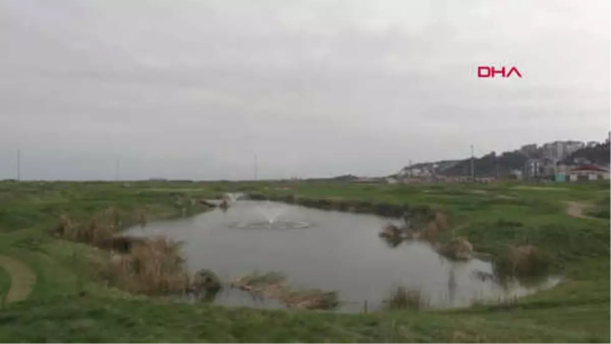 Samsun Dünyada Tek Örneği Samsun\'da; Deniz Dolgusunda 18 Çukurlu Golf Sahası