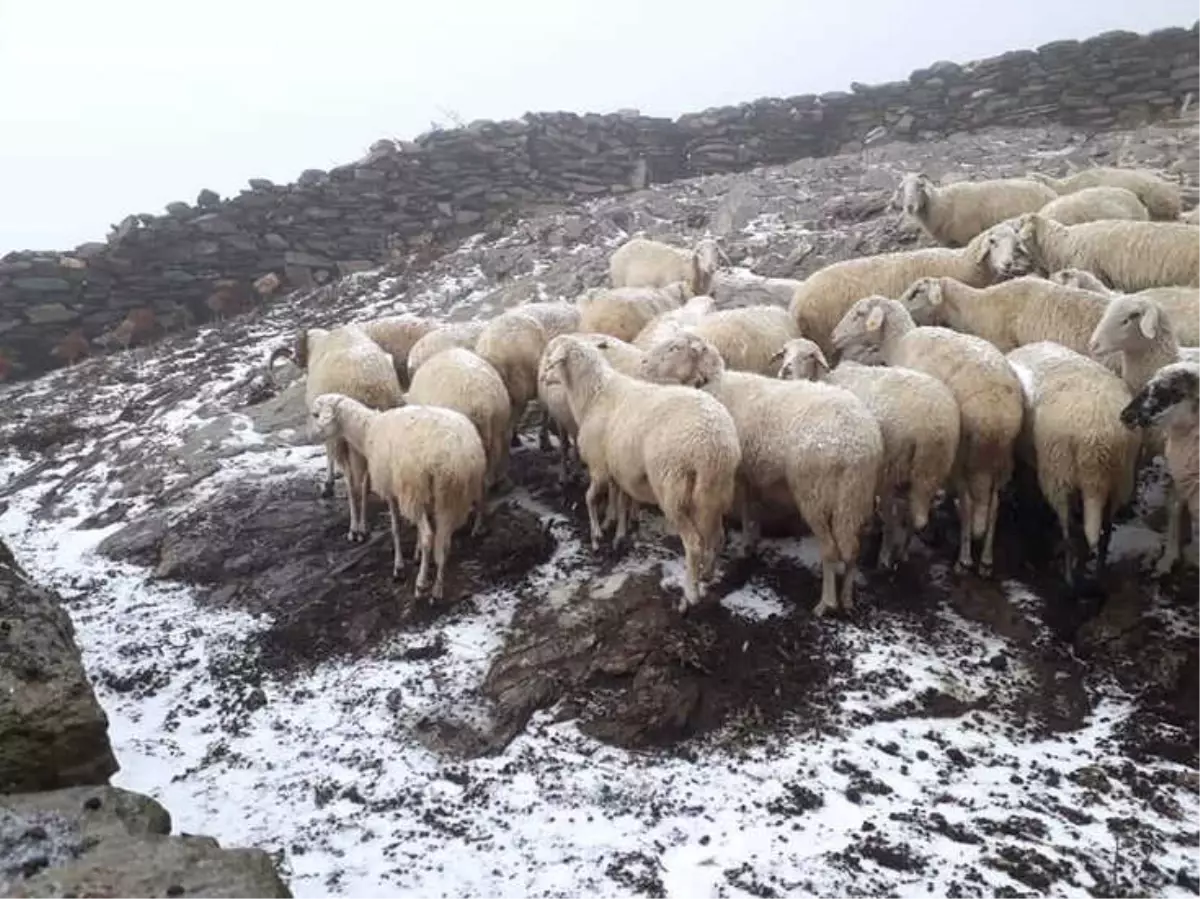 Aydın\'a Yılın İlk Karı Düştü