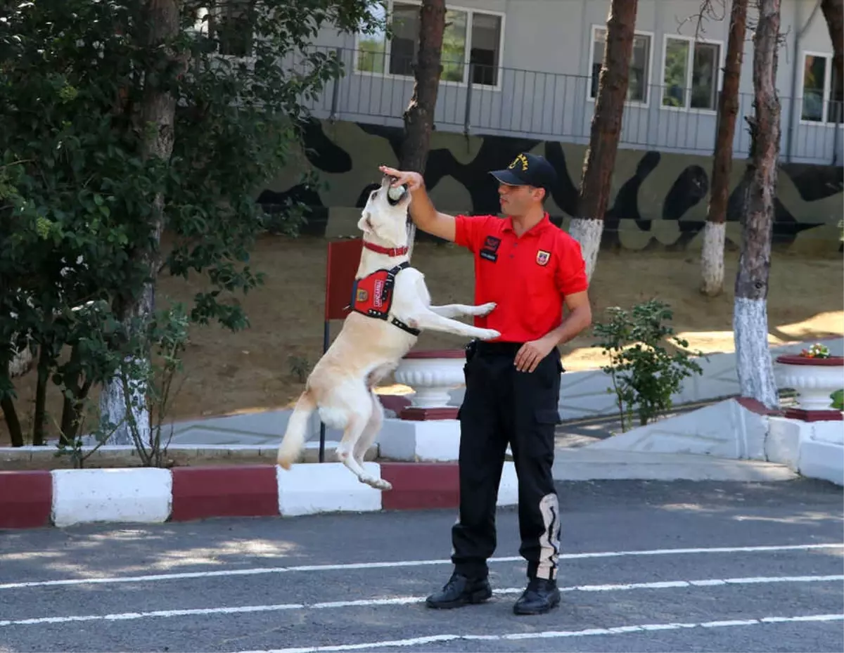 Jandarmanın Bombalara Karşı "Erken" Güvencesi