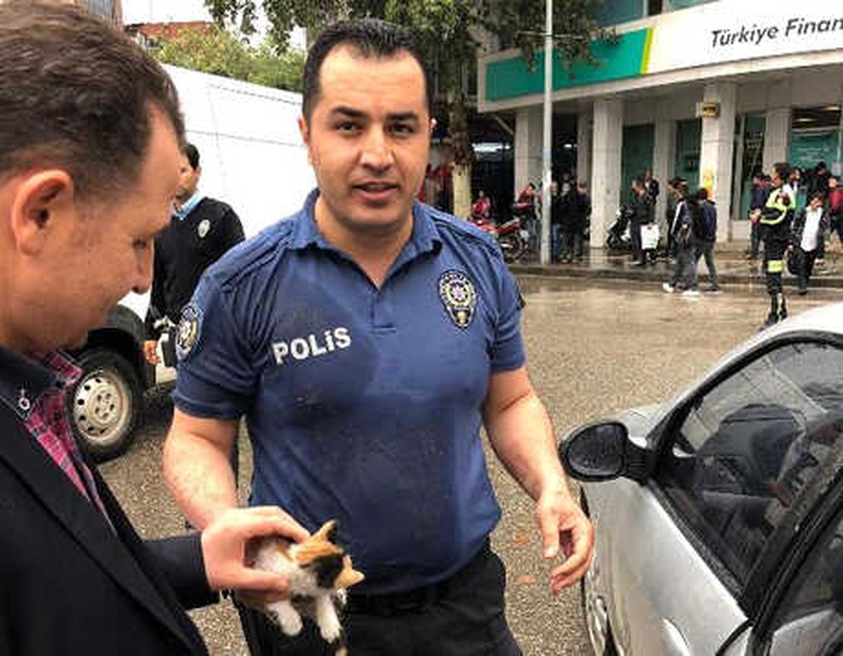 Midibüsün Tekerinde Sıkışan Yavru Kediyi Polis Kurtardı