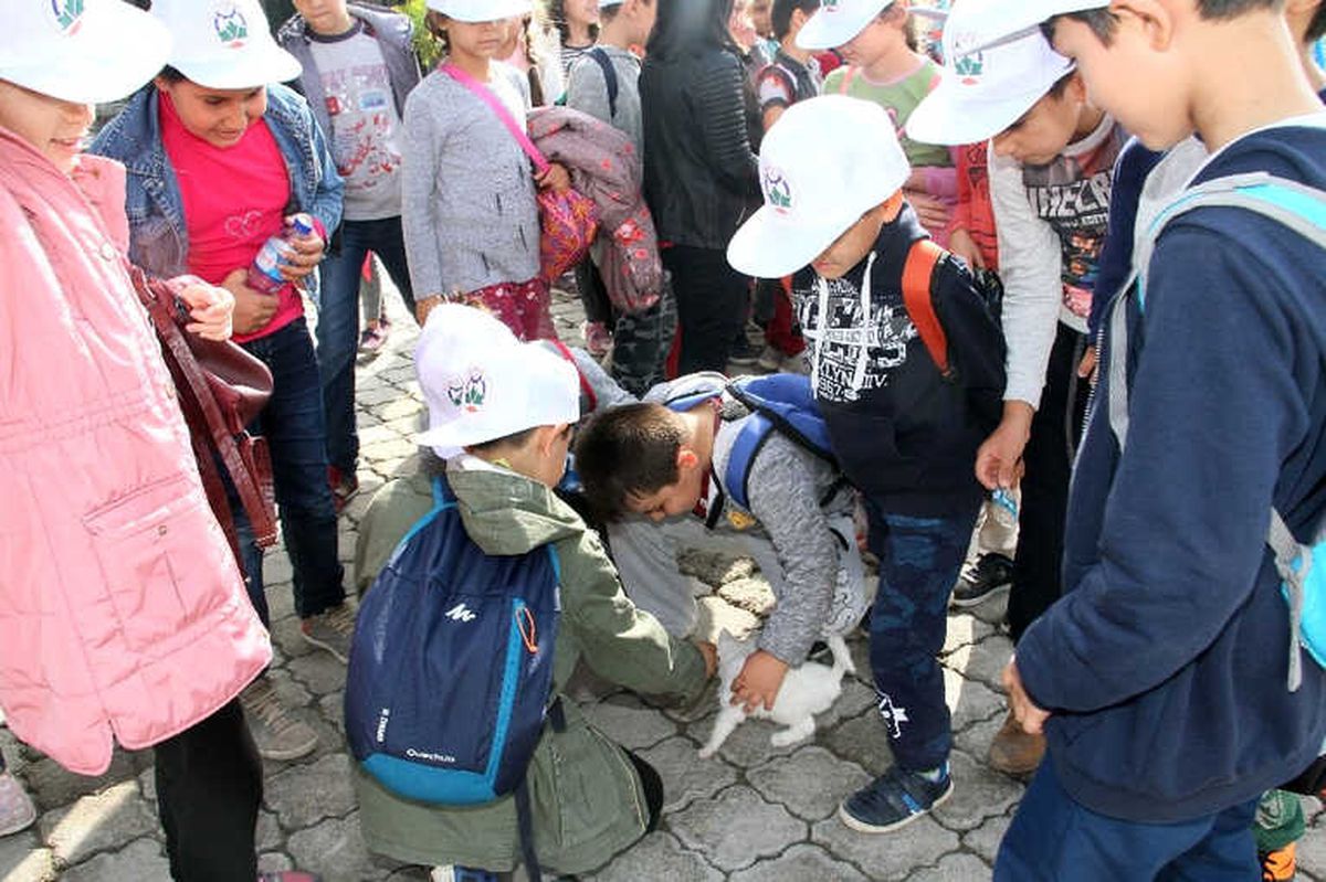 Miniklerden Hayvan Bakımevine Ziyaret