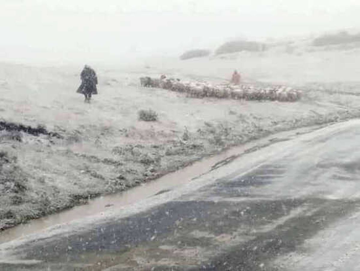 Ordu\'ya Mevsimin İlk Karı Düştü