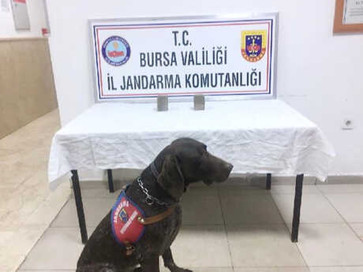 Varis\' Esrarı Buldu, 4 Kişi Gözaltına Alındı