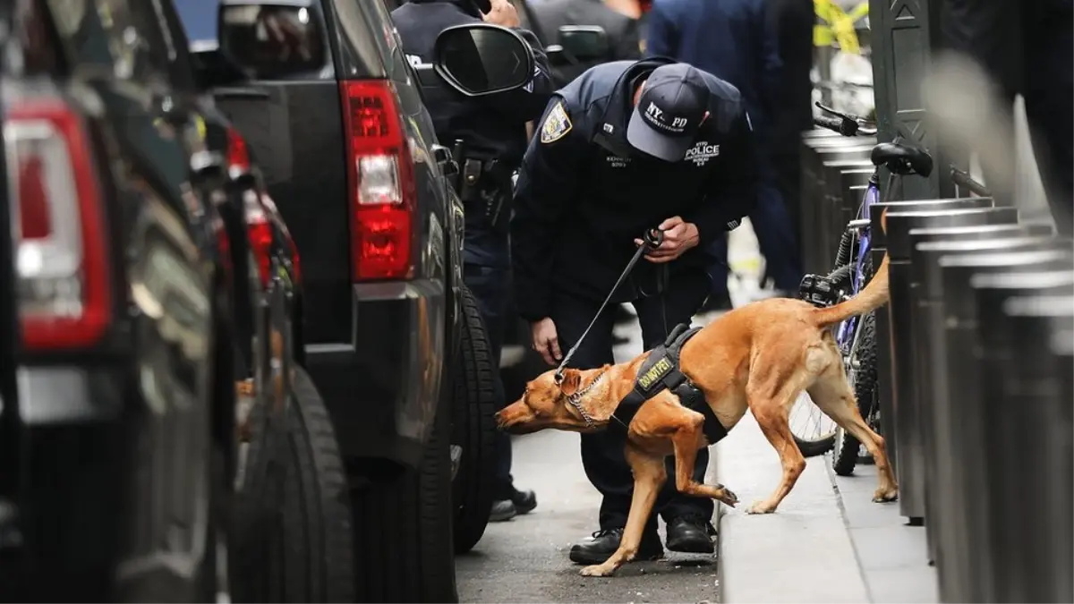 ABD\'deki Art Arda Gelen Bombalı Paket Tehditleri Hakkında Ne Biliniyor?