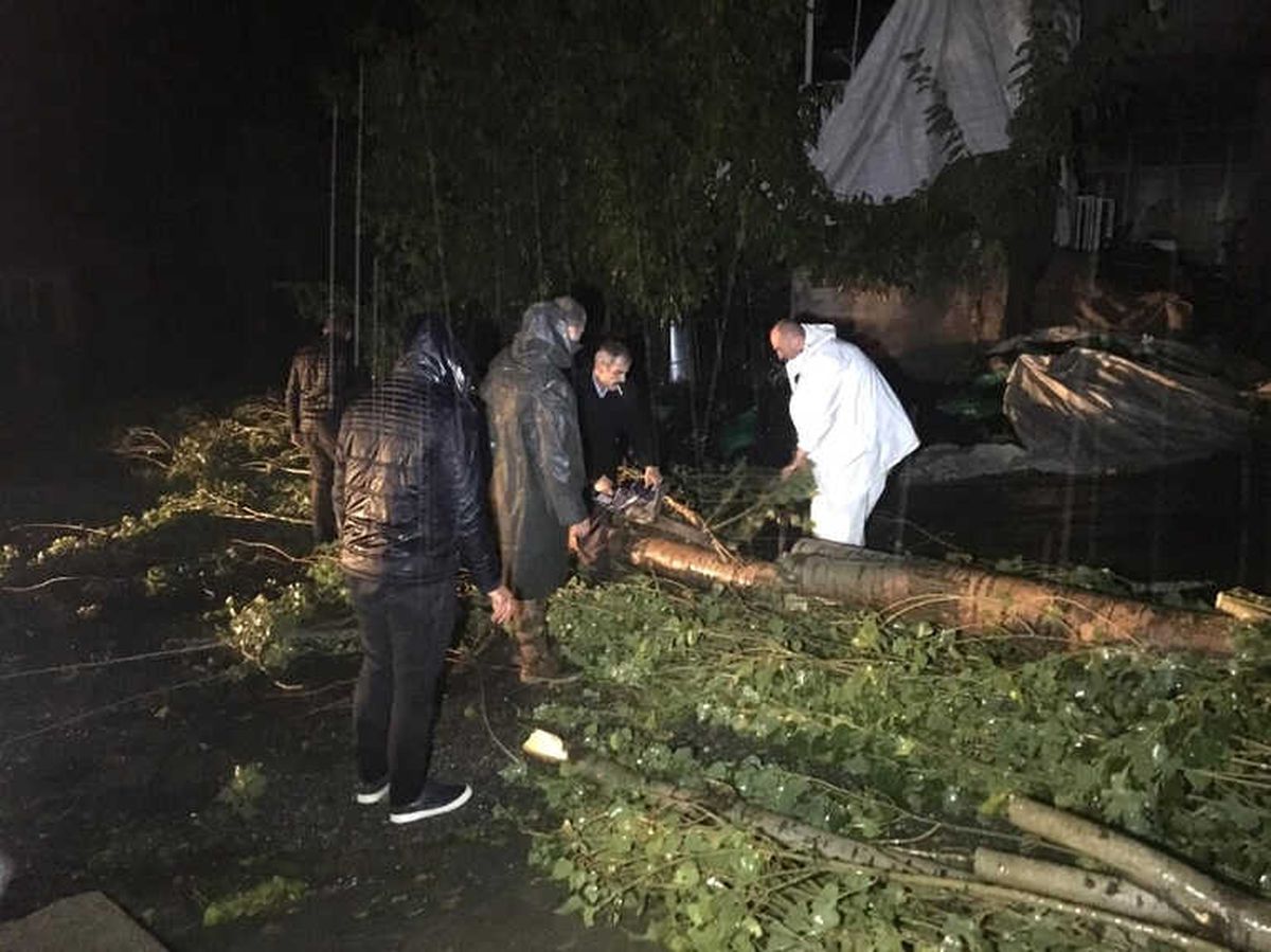 Beytüşşebap\'ta Ağaçlar Devrildi, Çatılar Uçtu