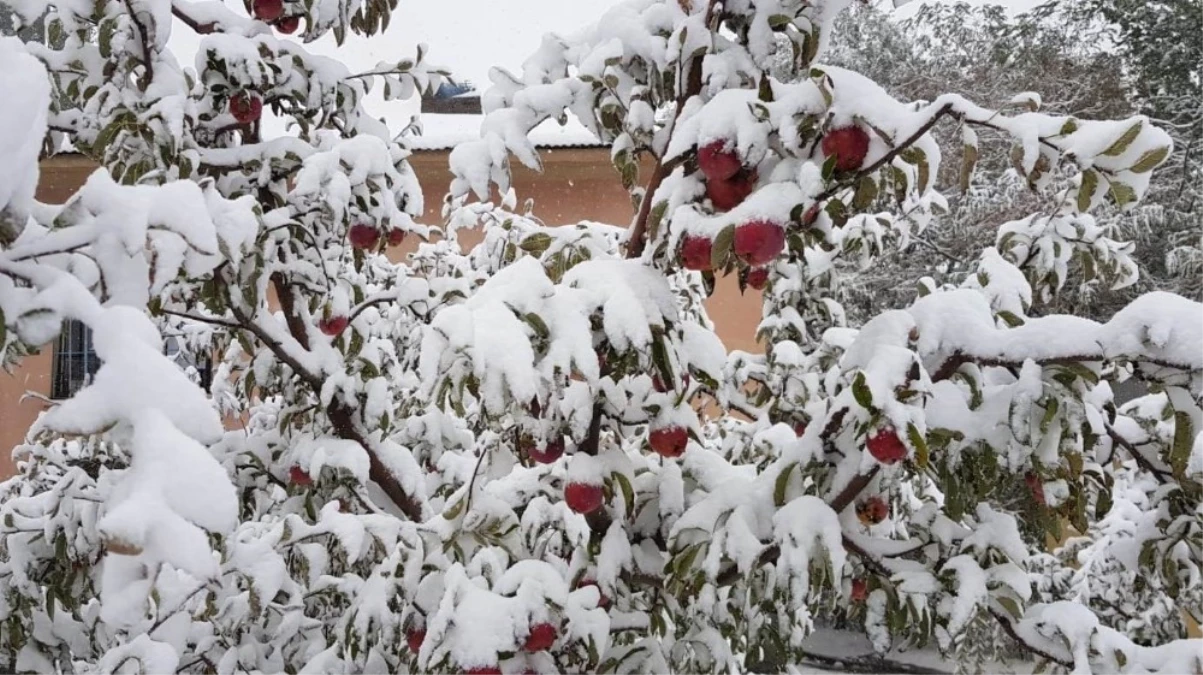 Kahramanmaraş\'ta Kar Elma Üreticini Hazırlıksız Yakaladı