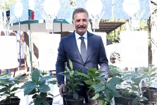 Kahve Artık Mersin’den Gelecek Son Dakika Ekonomi