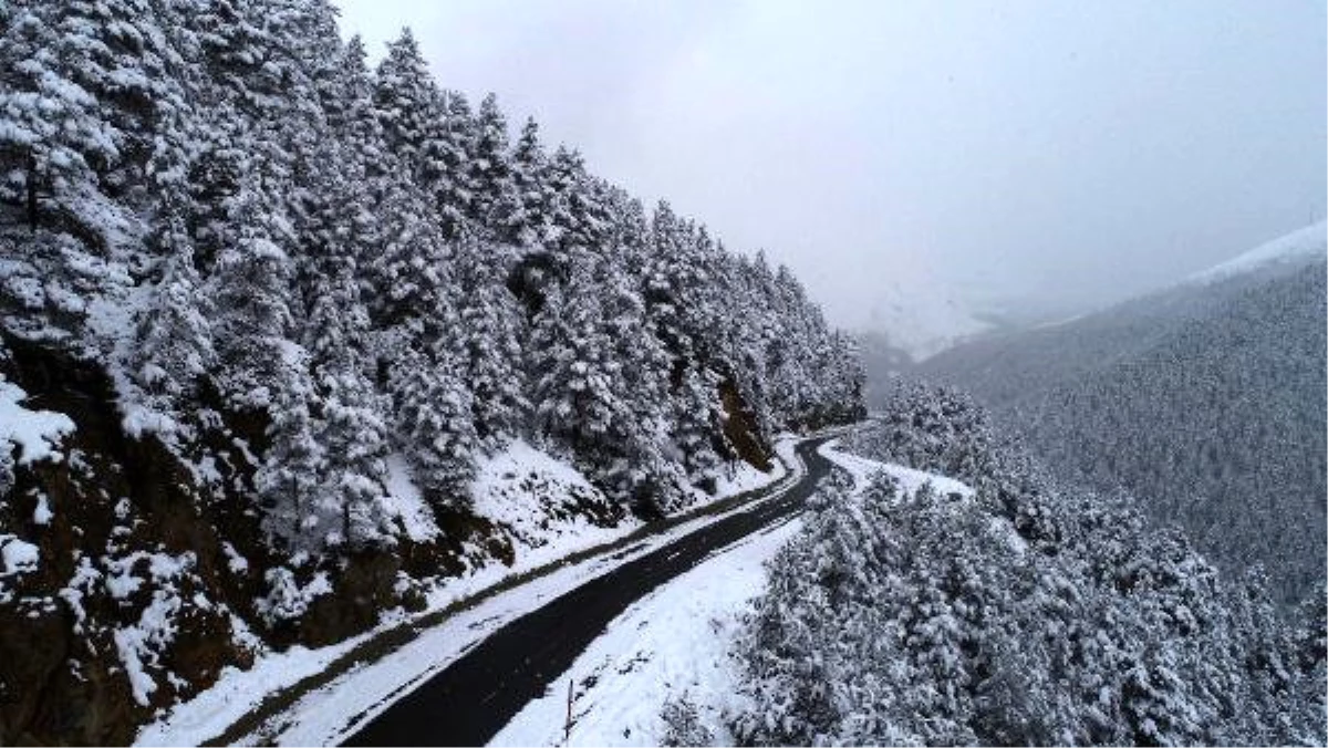 Karadeniz\'de Yüksek Kesimlerde Kar Etkili Oluyor