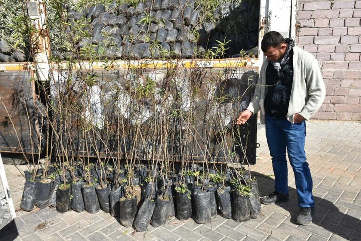 Manisa\'da Meyveciliğe 6 Bin 410 Fidan Desteği