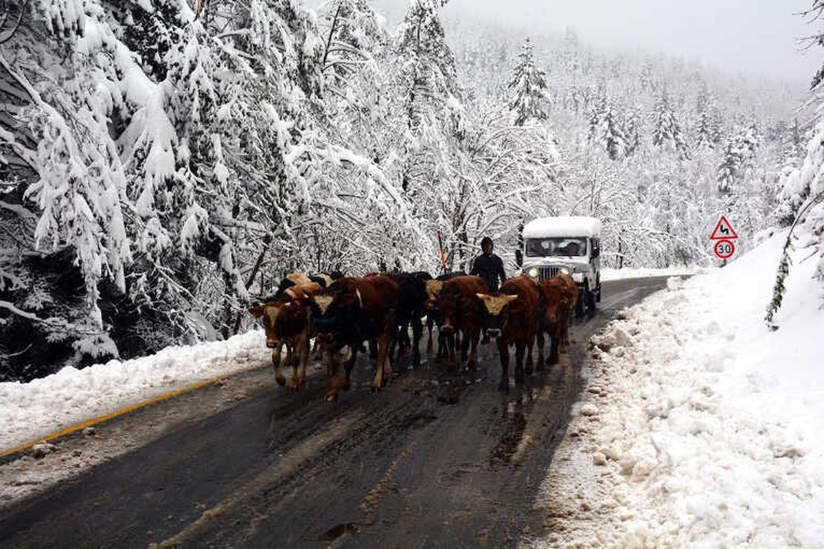 Ordu\'ya Mevsimin İlk Karı Yağdı