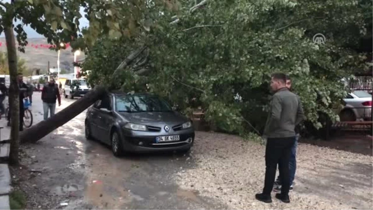Rüzgarın Devirdiği Ağaç Otomobilin Üzerine Düştü