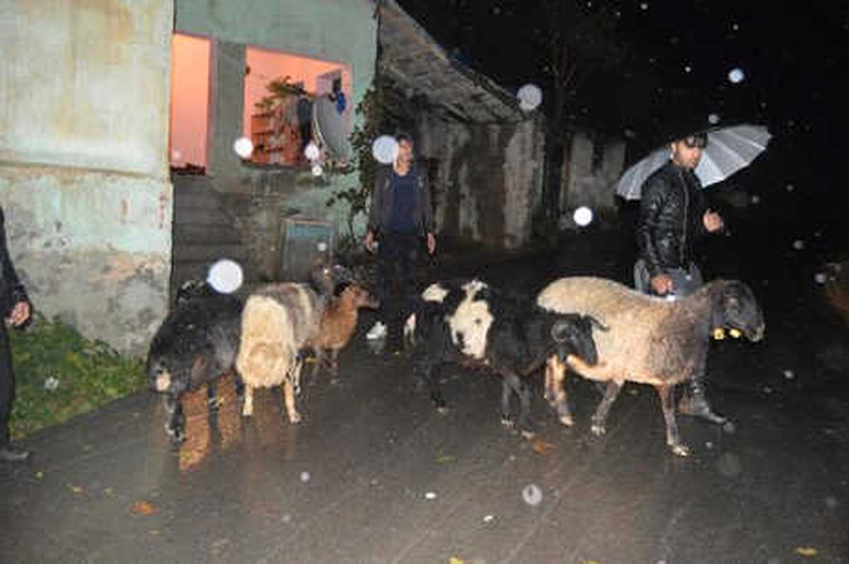 Sel Nedeniyle Yol Çöktü, 2 Mezraya Ulaşım Kesildi