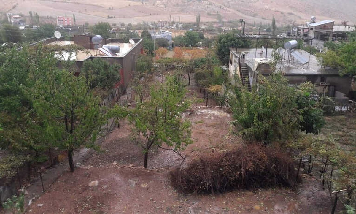 Siirt\'te Sağanak Yağış Ekinlere Zarar Verdi