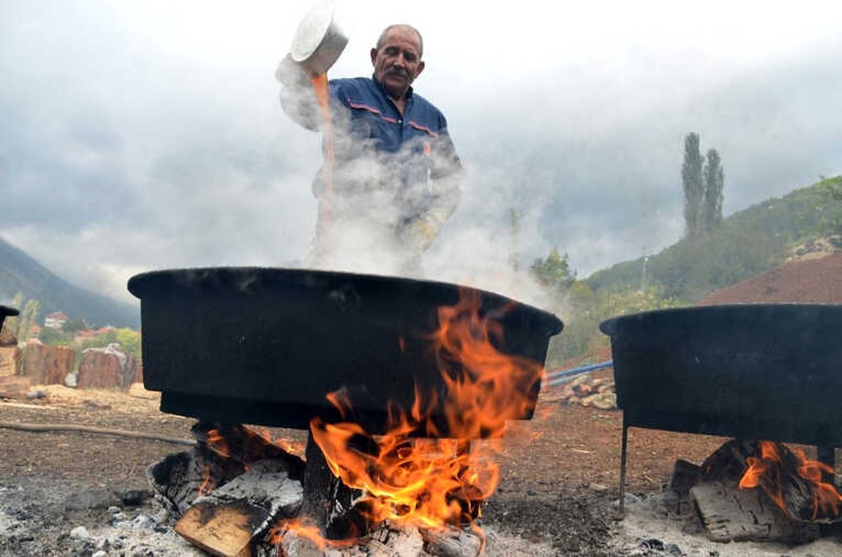 Toroslar\'ın Şifa Kaynağı Andız Pekmezi