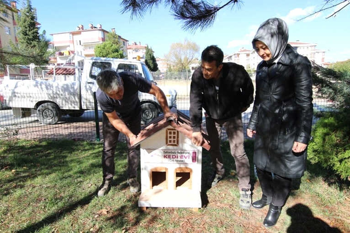 Safranbolu\'da Kedi Evlerinin Sayısı Artıyor
