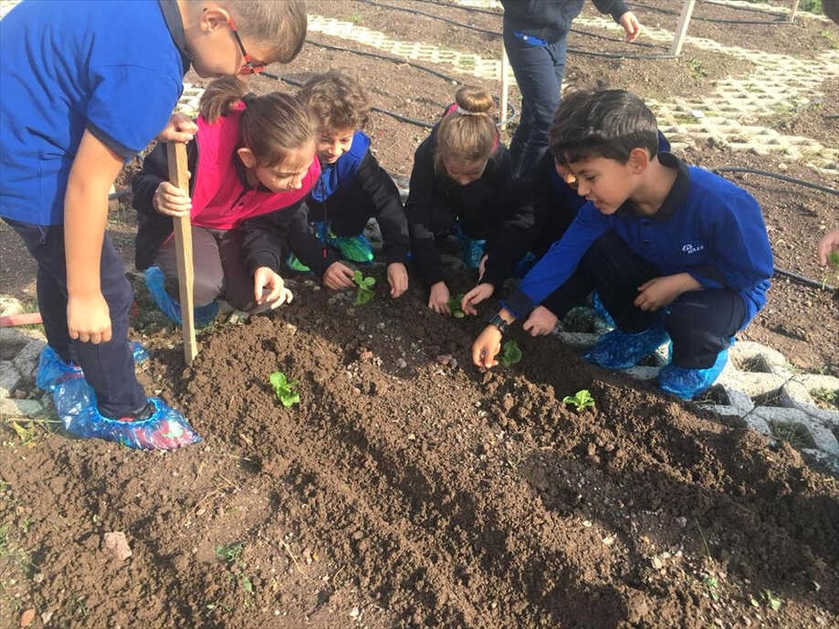 Öğrencilerin "Organik Tarım" Etkinliği