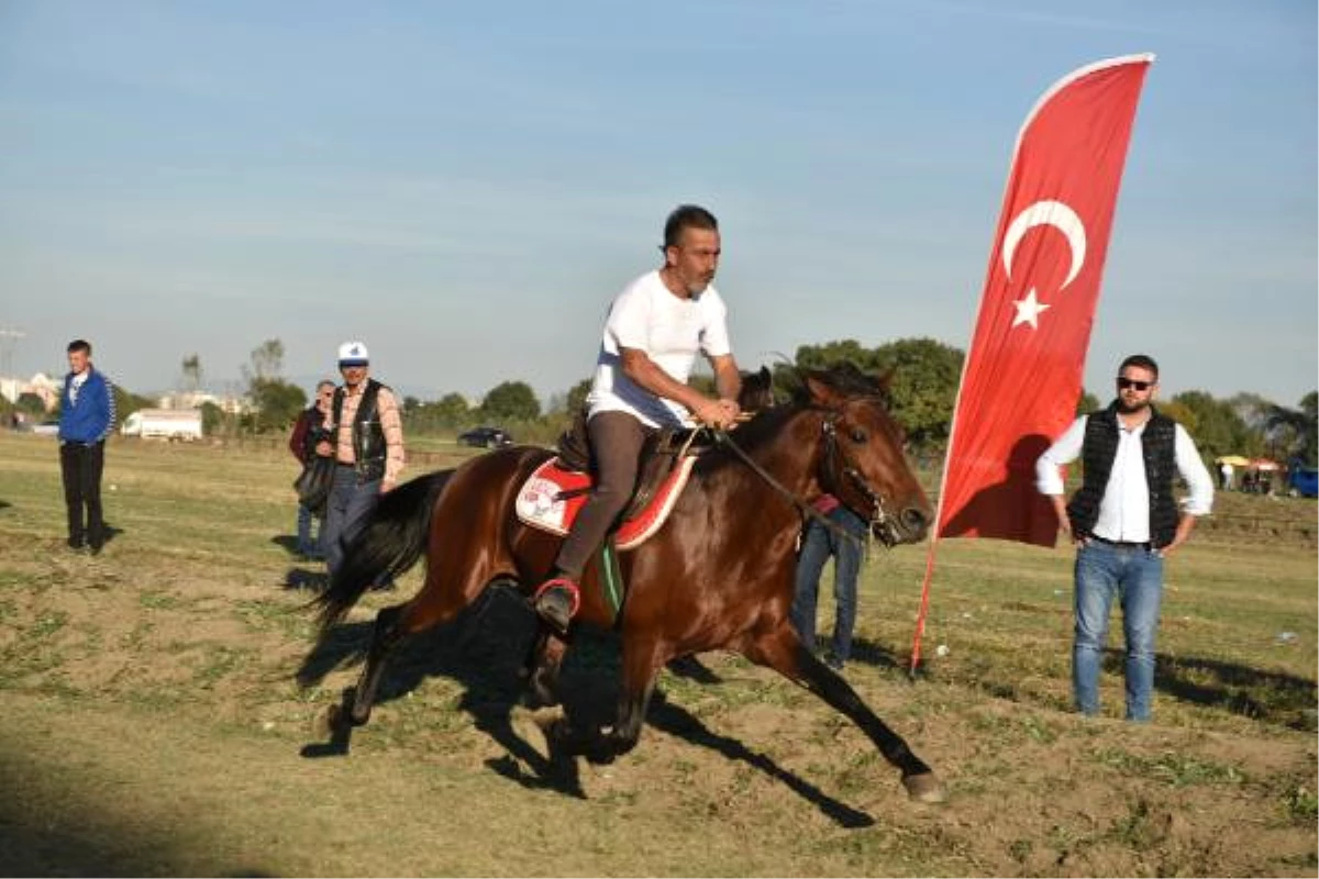 Rahvan Atları, \'Cumhuriyet Kupası\' İçin Yarıştı