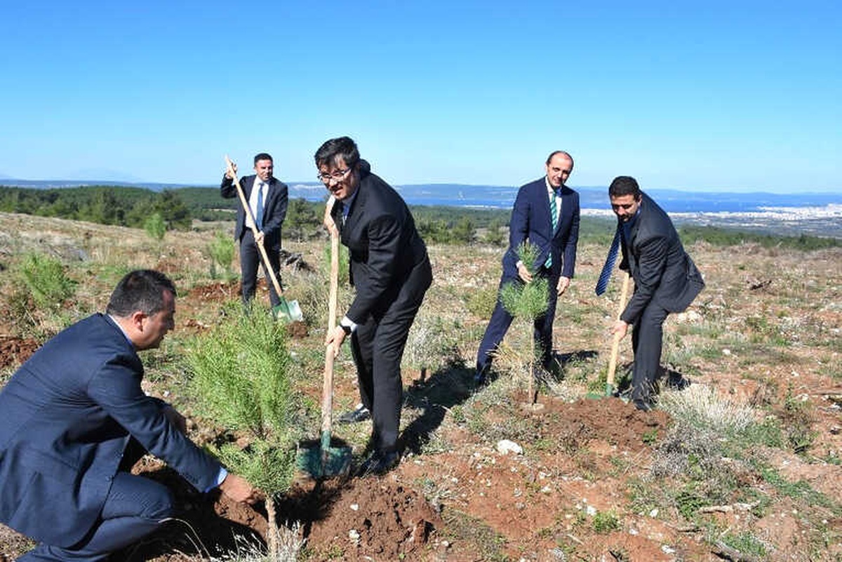 Yeşil Dönüşüm Ormanları Projesi"Nin İlk Durağı Çanakkale Oldu