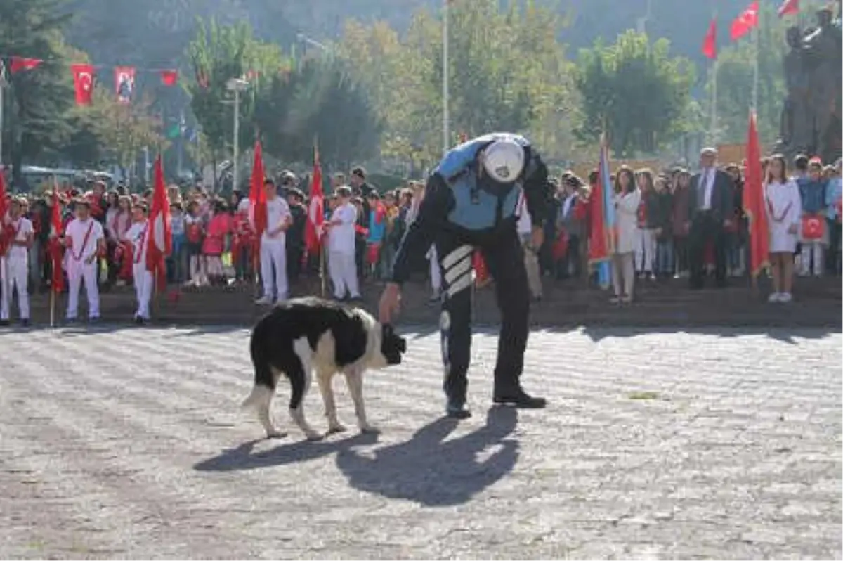 Amasya\'da 29 Ekim Coşkuyla Kutlandı