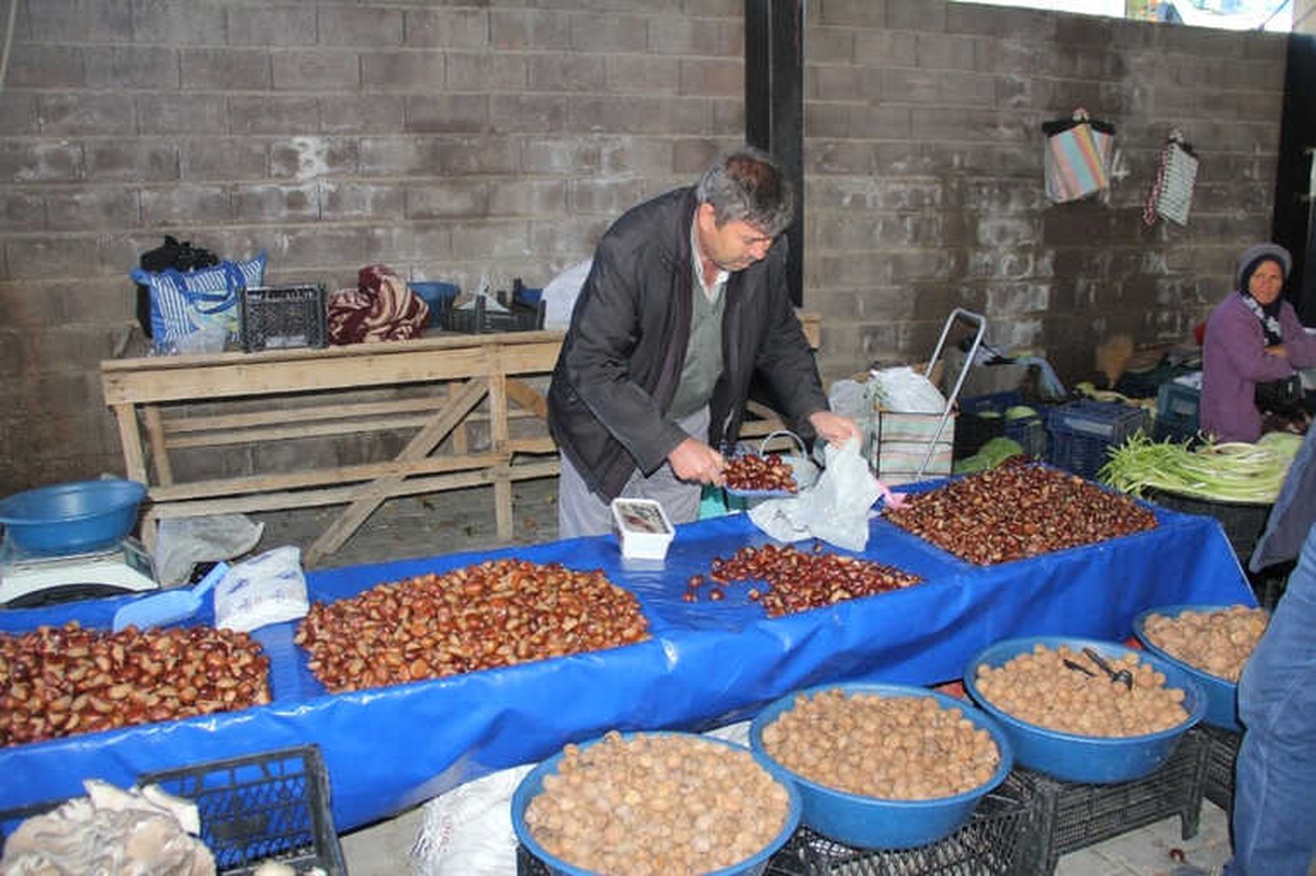 Kestane Fiyatları Cep Yakıyor