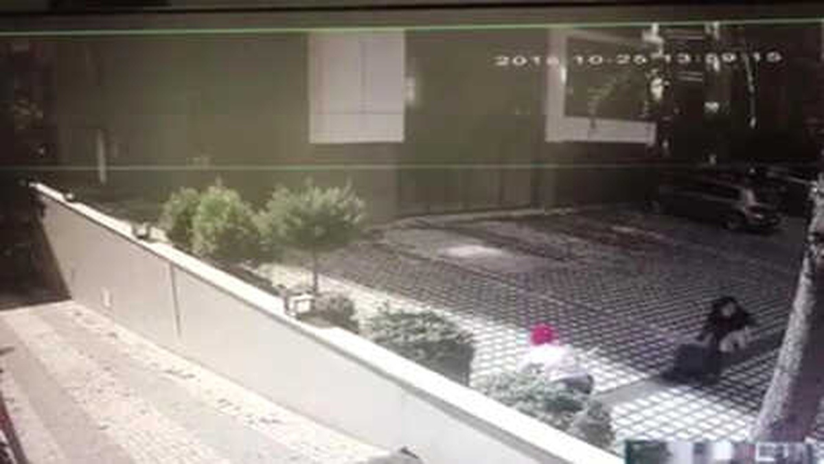 At Arabasıyla Gelip Mazgalları Çaldılar
