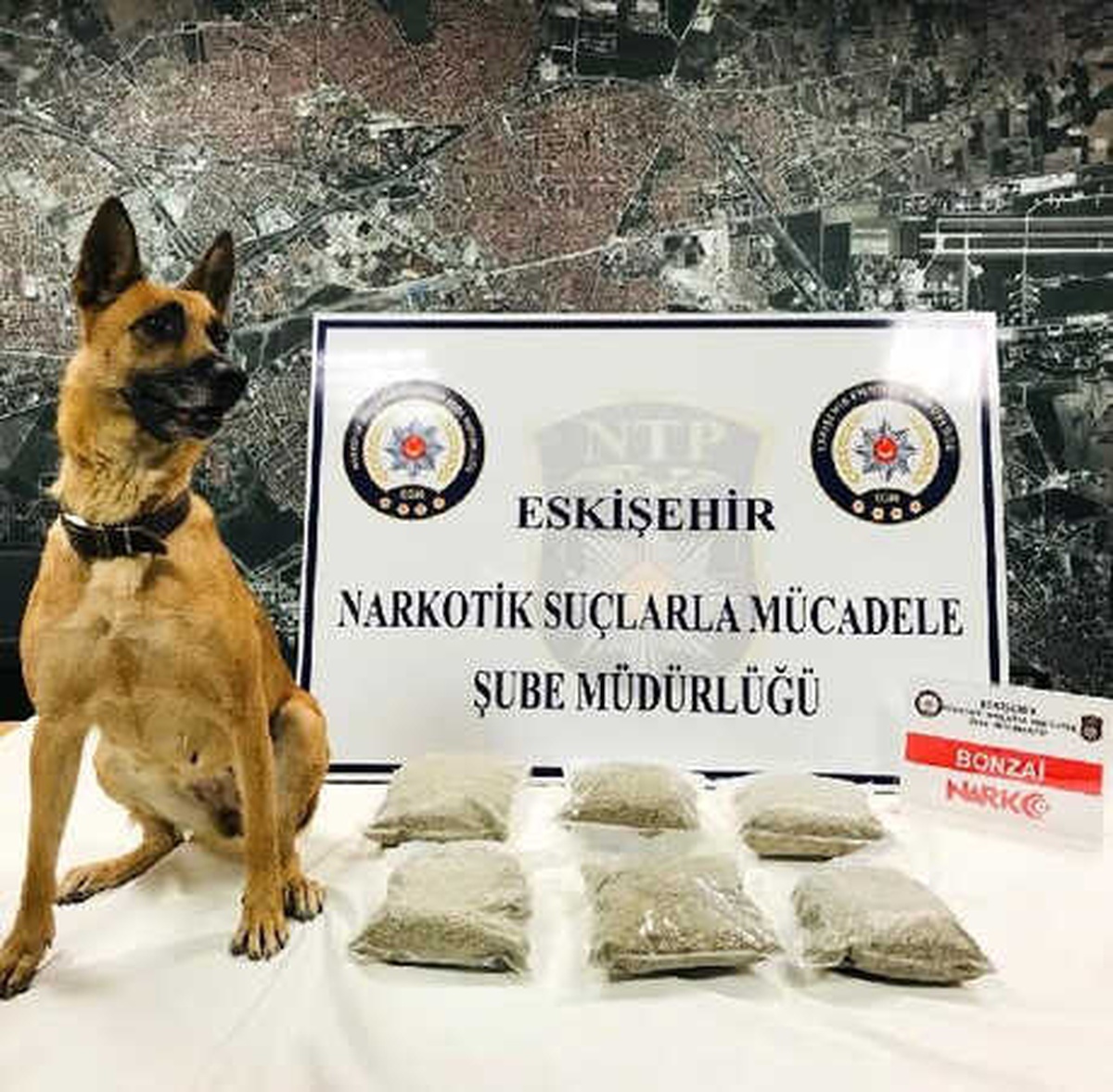 Eskişehir\'de Uyuşturucuya 13 Gözaltı