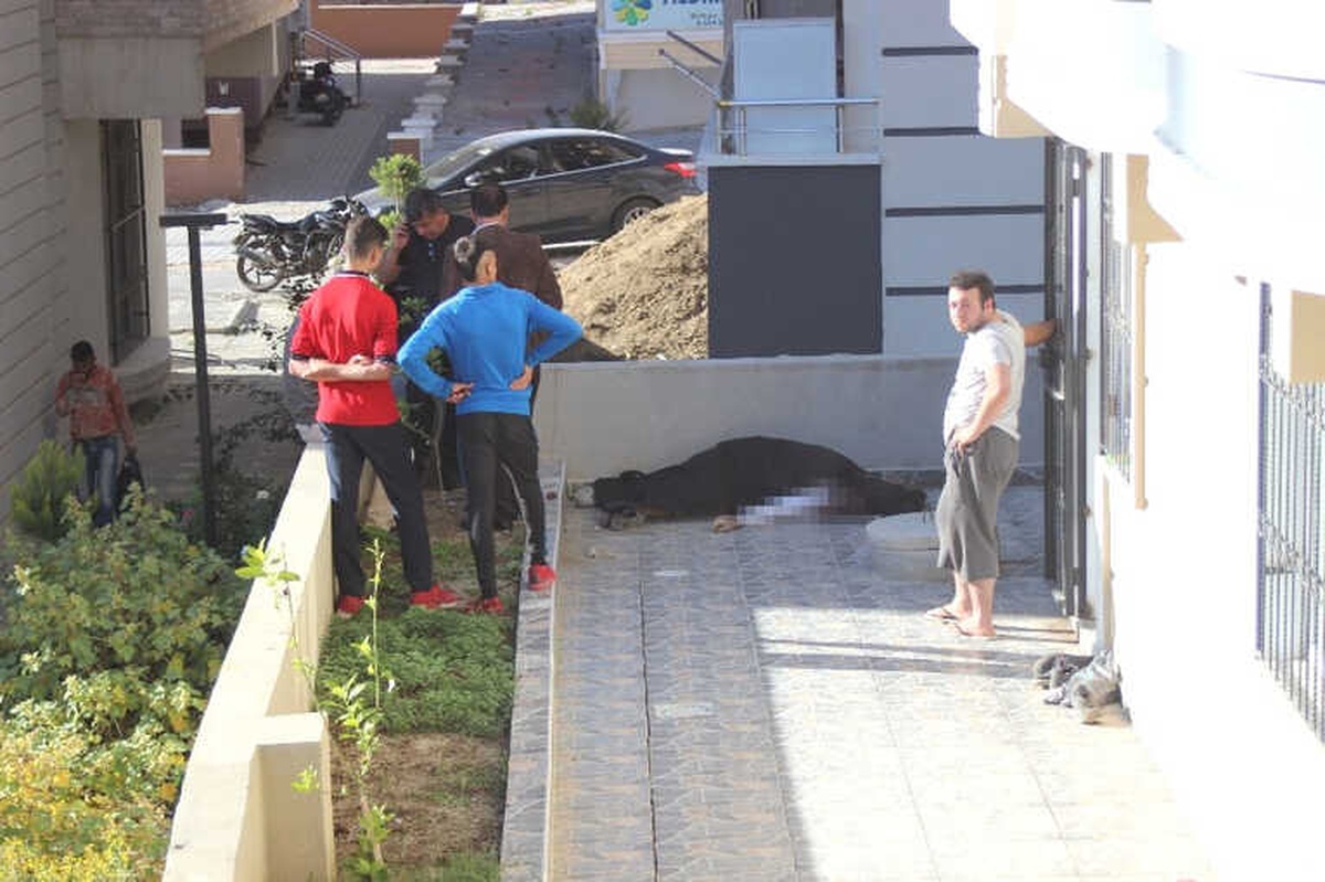 İnşaattan Düşen Suriyeli İşçi Hayatını Kaybetti